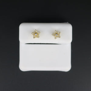 Earrings Diamonds BB14