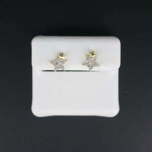 Earrings Diamonds BB13